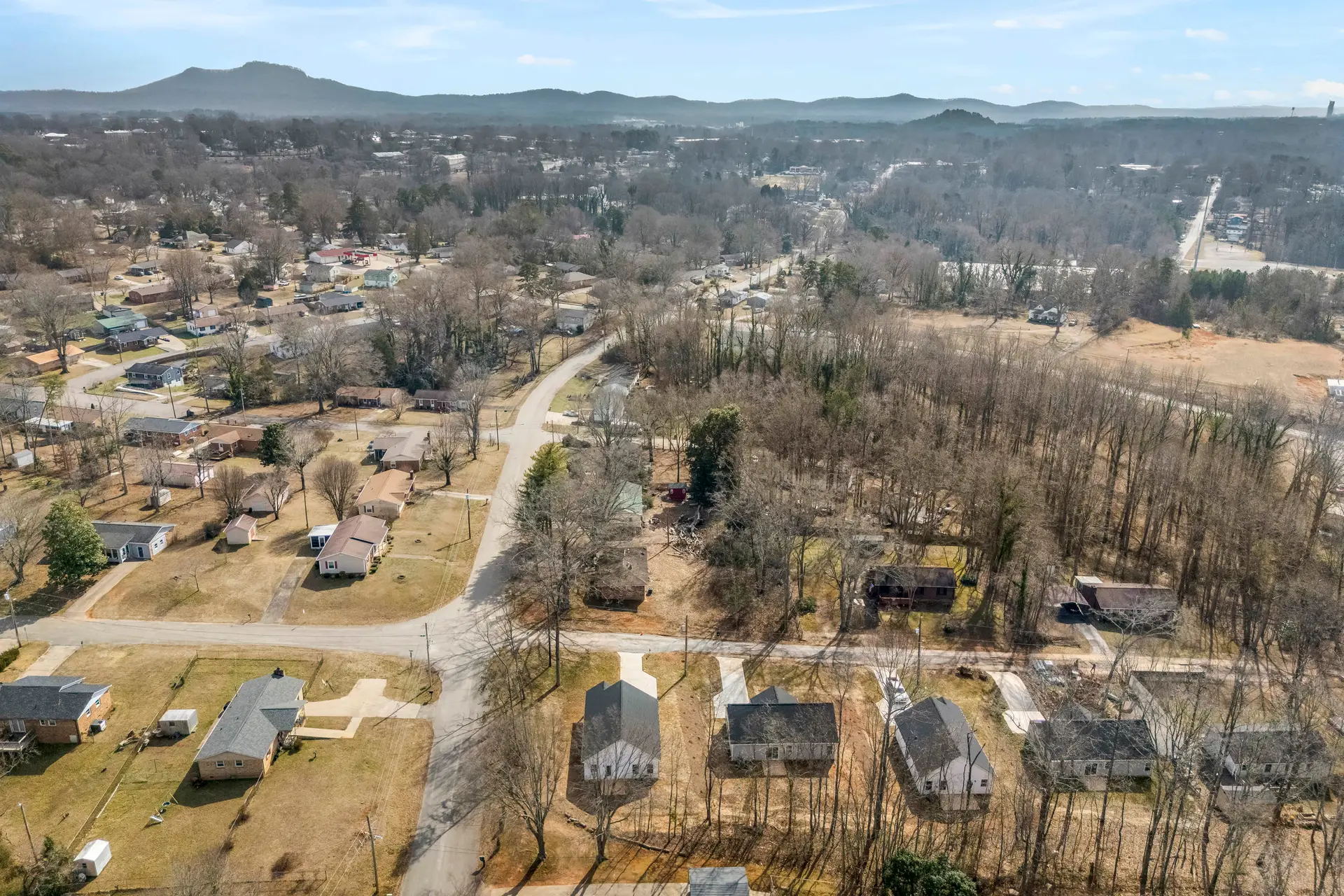 398 Brice St drone
