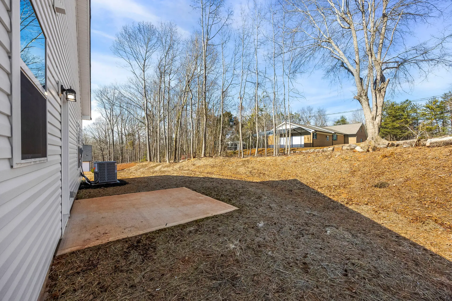 398 Brice St back yard