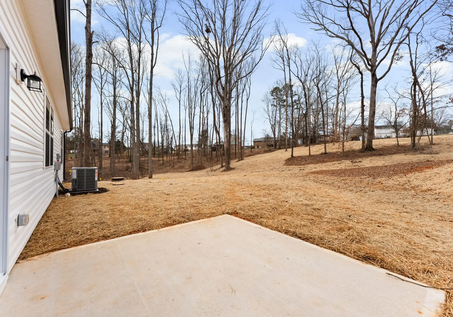 1904 Rucker Rd back yard